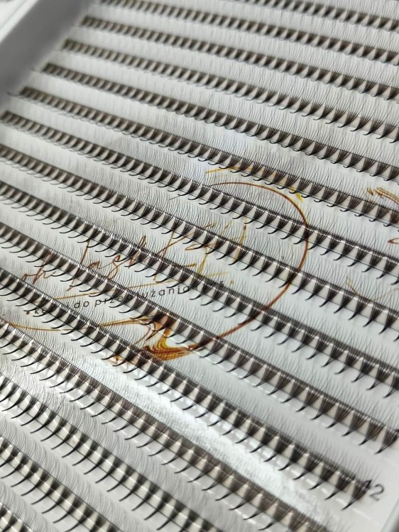 6d.jpg